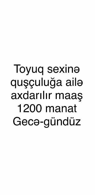 heyvan rezini: Sumqayıtda portağal markete yaxın ünvandadı maaş 1200 manatdır — 1