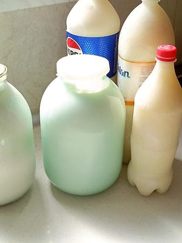 keci sutu: Keçi südü lt 4m uşaqların bir nöm qidası — 5