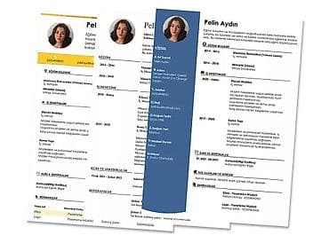 Məhsul: Peşəkar CV/Resume Şablonları və Dizayn Xidməti Təsvir: -
