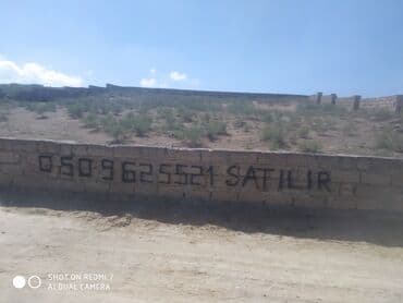 Audi: 6 sot, Tikinti, Mülkiyyətçi, Kupça (Çıxarış) — 2