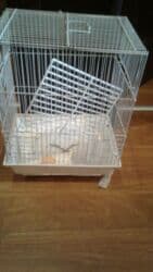 xamyak qiymeti: Shekilleri cevirin Xamyak ucun qefes satilir qiymeti 25 azn böyük — 25