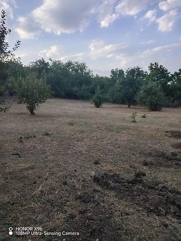 20 yanvar satilan evler: 12 sot, Kənd təsərrüfatı, Mülkiyyətçi, Kupça (Çıxarış), Texniki pasport — 6