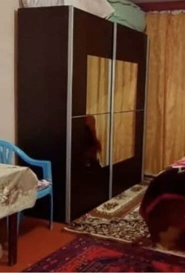 Kupe, 2 qapılı Düz dolab, Qarderob, paltar dolabı