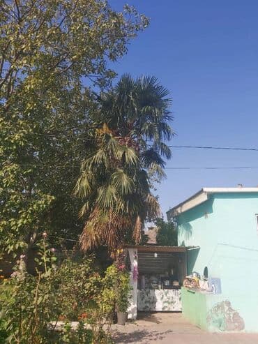 душ кабина баку: Razılaşma yolu ilə — 5