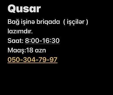 qusar bakı avtobus: Bağban tələb olunur, Təcrübəsiz, 1/1 — 1