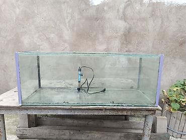 akvaryumlar: Xirdalan az islenib uzun 95 eni 35 hun 35 su qizdirici hediyye — 2