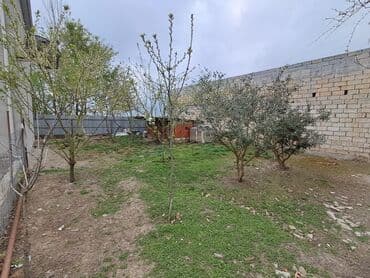 suraxanıda kirayə evler: 6 otaqlı, 170 kv. m, Kredit yoxdur, Yeni təmirli — 5