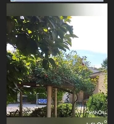 mingecevirde heyet evleri satilir: Həyət evləri və villaların satışı — 2