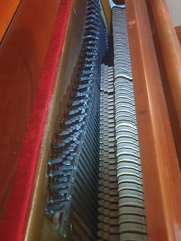 baseyn satilir: Piano, Akustik, İşlənmiş, Ünvandan götürmə — 4