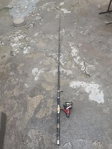 ovcular evi: Bir dene balig tutan unvan Bileceri — 1