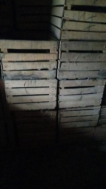 Taxta yeşik/qutu 400 500 ededdi tecili satilir - Material: təbii — 3