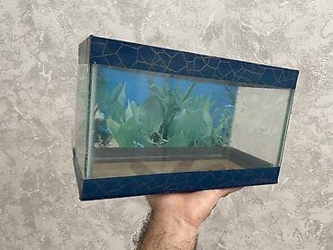 akvarium altligi: Dördbucaq akvarium, Boş, 6 l, Ünvandan götürmə — 1