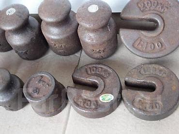 simmental inək cinsi: 1 l — 2