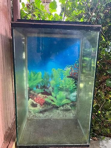 Şaquli forma akvarium - Şüşə korpus, çərçivəli üst və alt hissə - Tək