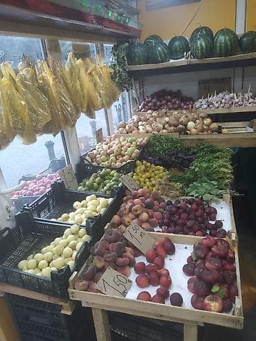 rizen dovşan: Watçapla zeng ede bilersiz endirim olacaq - Vitrin və rəflər — 3