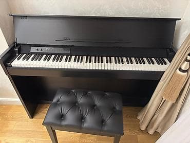 Elektrik nəqliyyatı: Piano, Rəqəmsal, Yeni, Ödənişli çatdırılma — 4