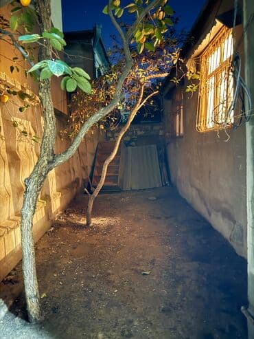 kirayə evlər xırdalan 2021: NZS 6 otaqlı, 160 kv. m, Kredit yoxdur, Yeni təmirli — 9