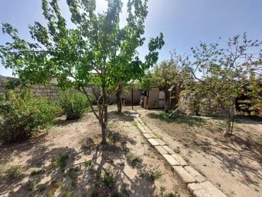 tap az bag evleri pirsagida: Bakı, 150 kv. m, 7 otaqlı, İnternet, Telefon, İşıq — 5