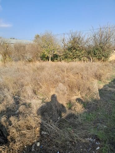 araz supermarket neftciler: 3 sot, Tikinti, Mülkiyyətçi, Kupça (Çıxarış) — 4