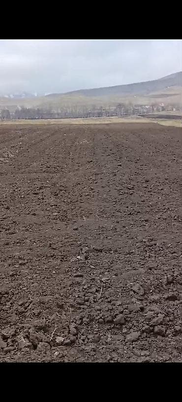 аренда земель сельскохозяйственного назначения: 42 соток, Для сельского хозяйства, Купчая — 1