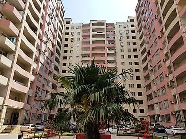 cılcıraq mağazaları: Təcili: Tbilisi dairəsi ilə Həsən Əliyev küçəsinin kəsişməsində 100 — 2