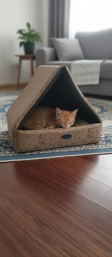 Ev heyvanı üçün üçbucaq formalı yuva və yumşaq döşək
Endirim olacaq