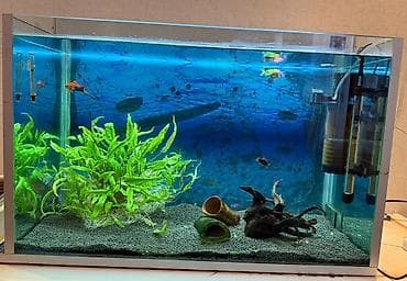 Akvariumlar: Satılır 120 litrlik tam komplekt akvarium. Tam işlək vəziyyətdədir və — 3