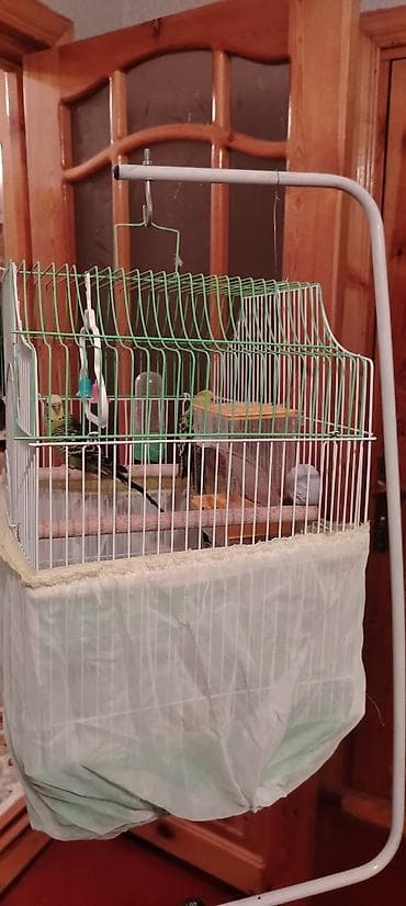 Heyvanlar üçün mallar: Digər quşlar — 2