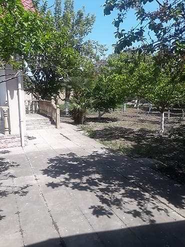 kirəyə ev: Muxtadır, 120 kv. m, 4 otaqlı, Hovuzsuz, Qaz, Su, Artezian quyusu — 3