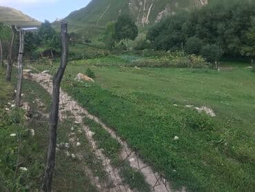 memar ecemi kiraye ev: 5 sot, Tikinti, Maklerlər narahat etməsin, Kupça (Çıxarış) — 3