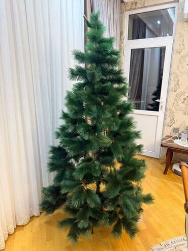 taxda ucuz: Yeni il ağacı – bəzəksiz (ikinci əl) - 2.1 m hündürlüyündə süni şam — 6