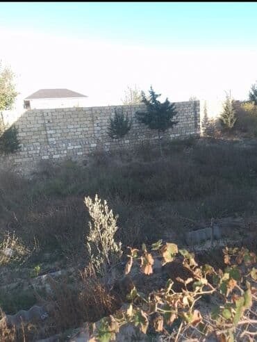 quba torpaq: 8 sot, Tikinti — 2