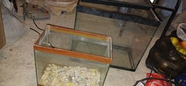 Lincoln: Akvaryum dəsti - Şəkillərdə 2 ədəd şüşə akvaryum: biri böyük, biri — 1