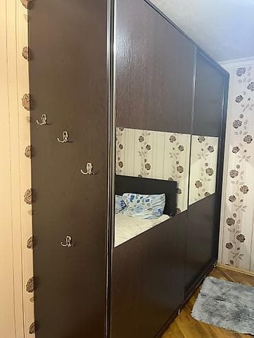 2 qapılı, Güzgülü, Qəhvəyi, Digər material, Kupe, Düz dolab — 4