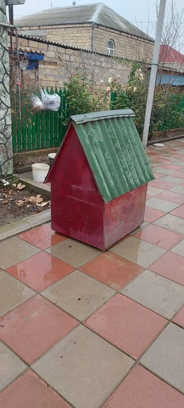 собака бу цена: It yuvası — 2