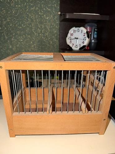 qefes: BALACA TƏZƏ BÜLBÜL GƏFƏSLƏRİ 6- ƏDƏTDİR.FİSTİG AĞACINDANDİR,ALTLİGİ — 2