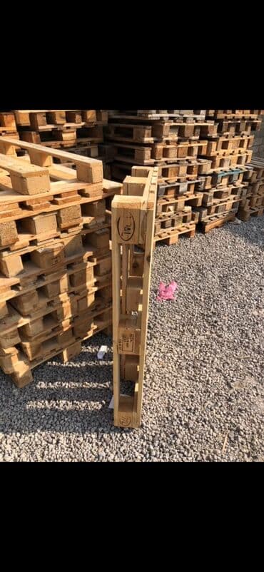 ucuz metlax qiymetleri: Pallet, 800 х 1200 sm — 2