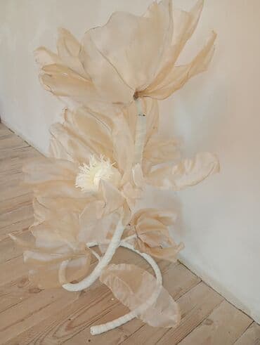 son zəng şəkilləri: Fiqur — 4