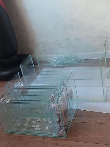 naxcivan heyvan elanlari: Şüşə akvariumlar və şüşə qutular dəsti - Material: şəffaf akvarium — 4