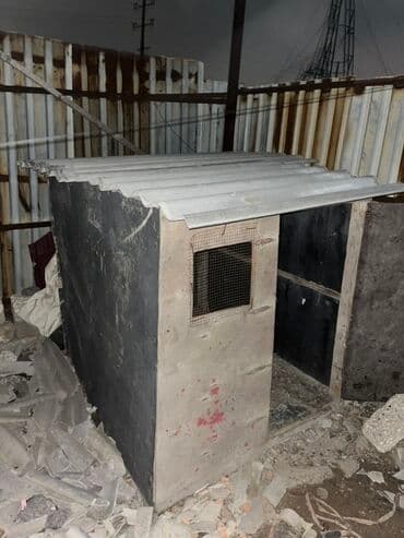 клетка для собак: Hem it evi hem de quș xana ücün yararlıdır — 1