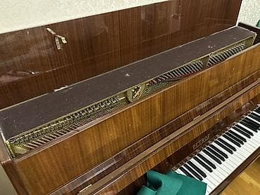 Piano, Petrof, Akustik — 7