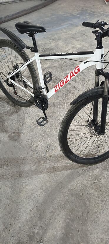 купить скейт круизер: Dağ velosipedi 29" — 2