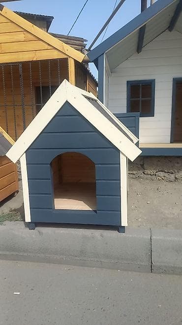 Yemlər: Darvazabazari.az oz mehsullarin teqdim Edir Diqqetle Oxuyum Bu — 9