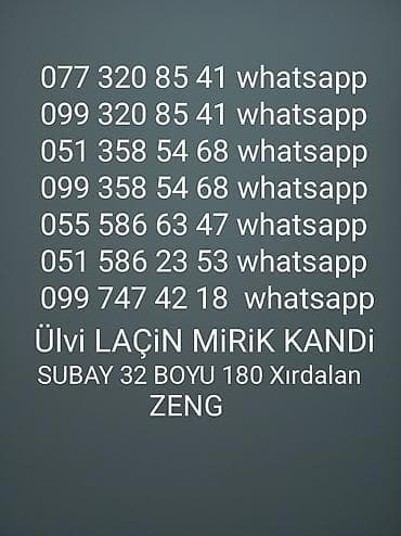 müəllim şəkilləri: Model, Kişi, 32 yaş — 1