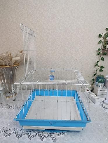 Heyvanlar üçün mallar: Dovşan qəfəsi – ağ metal karkaslı, mavi plastik altlıqlı model - Ölçü — 2