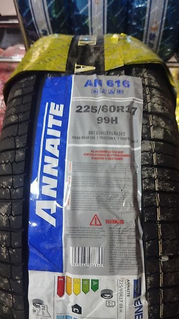 Şin Annaite 225 / 60 / R 17
