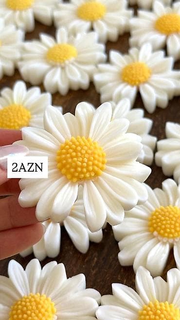 sekilleri cekmek: Şam Fiqurlu — 3