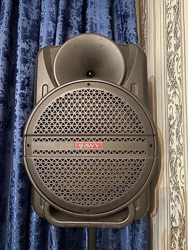 iphone 5 ekrani: Kolonka, Növ - Akustik, rəng - Qara — 1