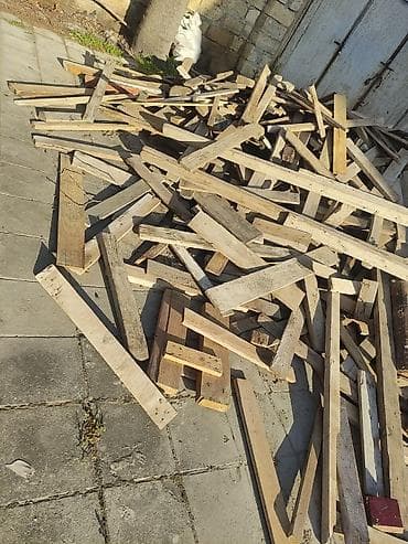 demir kesen misar: Bir qazeldi 4 metrelikk qazellə. Tikinti qalıqları – taxta şalban və — 5