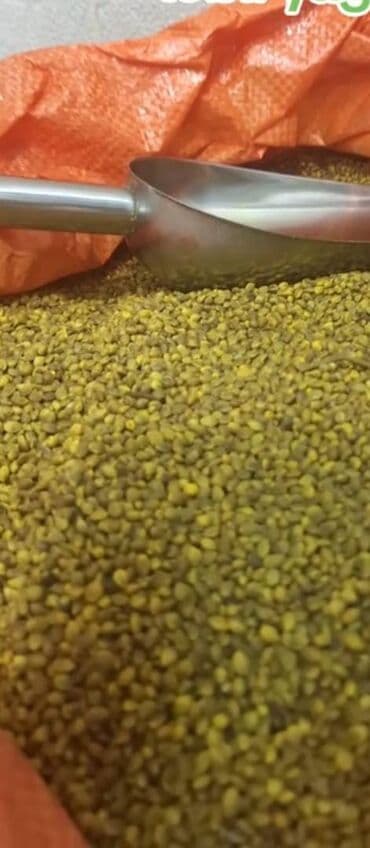 sultan daragi gülü: ÇƏTƏNƏ YAĞI — 2